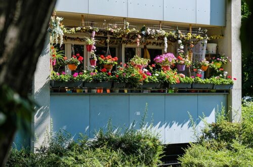 Urban gardening: Wie sie auch in der stadt nachhaltig wohnen